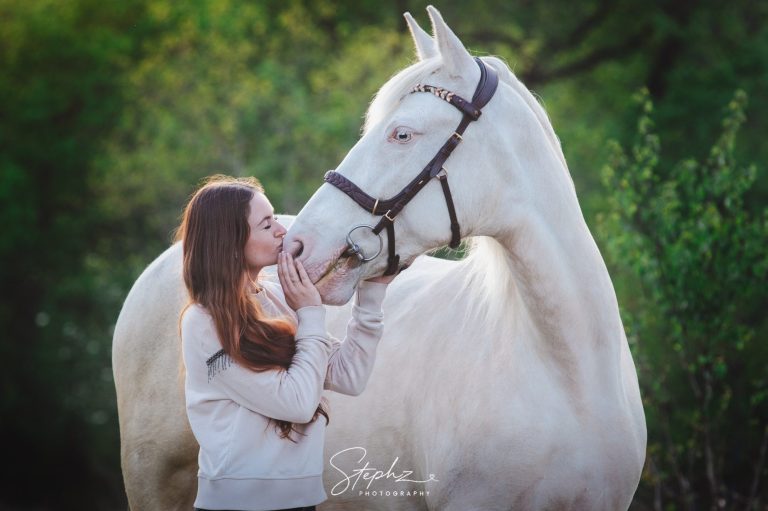 Paardenfotografie door Steph